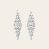 De Holly oorbellen - silver plated
