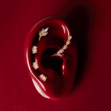 De Ari piercing - verguld