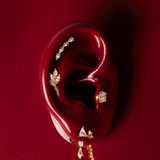De Ari piercing - verguld
