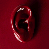 De Lia piercing rechterkant - verguld