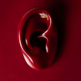 De Liv piercing rechterkant - verguld